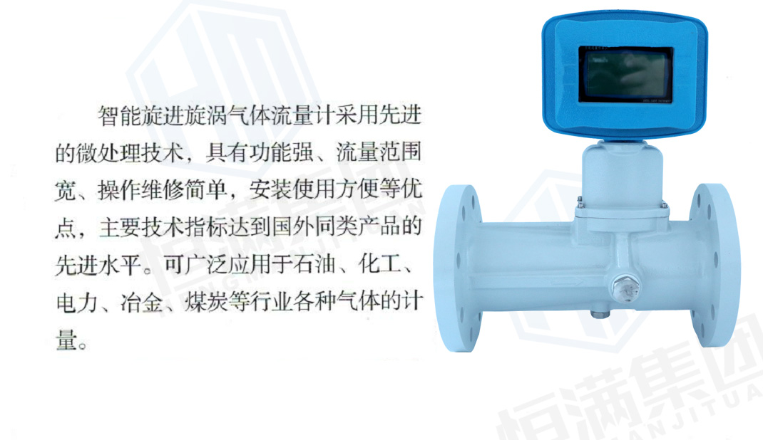 旋進(jìn)旋渦圖1.jpg